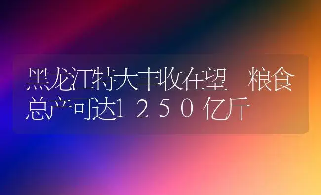 黑龙江特大丰收在望 粮食总产可达1250亿斤 | 植物科普