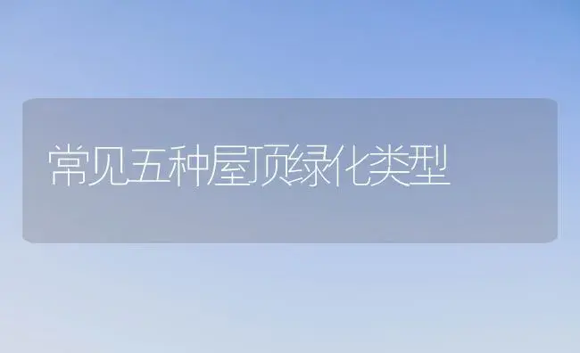 常见五种屋顶绿化类型 | 植物知识
