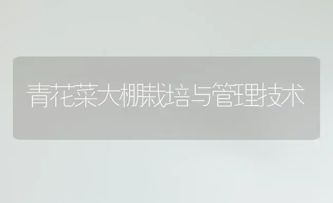 青花菜大棚栽培与管理技术 | 植物百科
