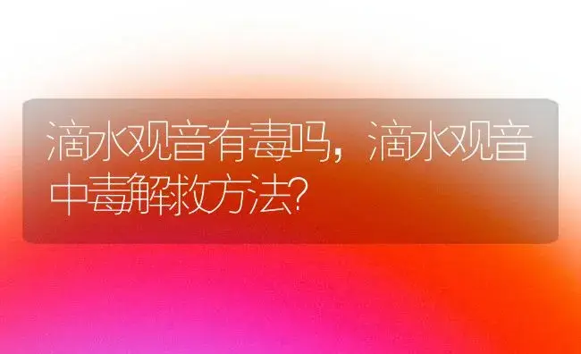 滴水观音有毒吗，滴水观音中毒解救方法？ | 植物问答