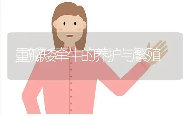 重瓣矮牵牛的养护与繁殖 | 植物科普