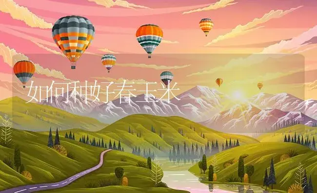 如何种好春玉米 | 植物资料