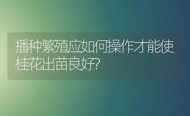 播种繁殖应如何操作才能使桂花出苗良好? | 植物科普