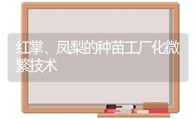 红掌、凤梨的种苗工厂化微繁技术 | 植物科普