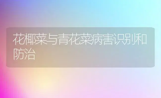 猕猴桃高产技术 | 植物百科