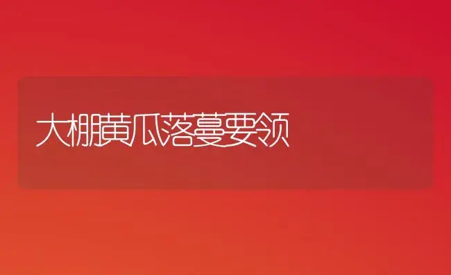 大棚黄瓜落蔓要领 | 植物科普