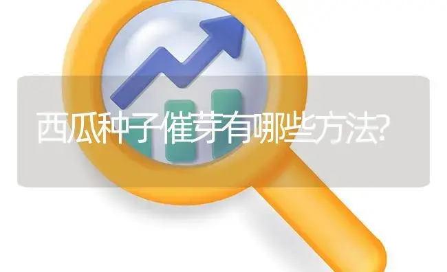 西瓜种子催芽有哪些方法? | 植物百科