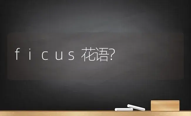 ficus花语？ | 植物问答