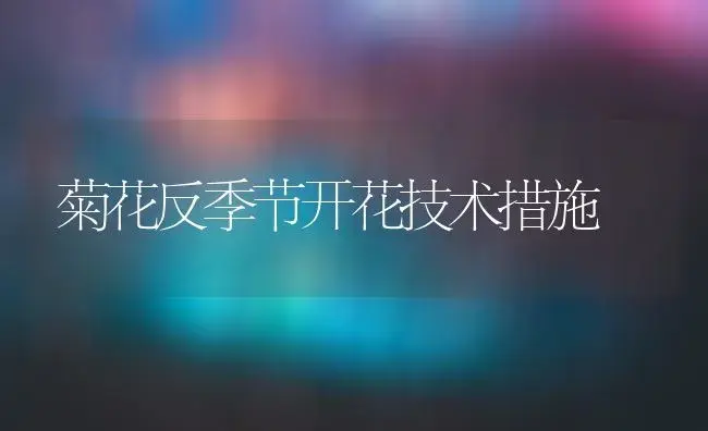 菊花反季节开花技术措施 | 植物科普