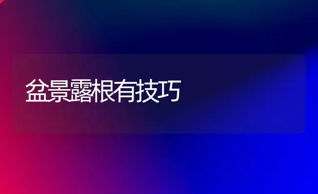 盆景露根有技巧 | 植物知识