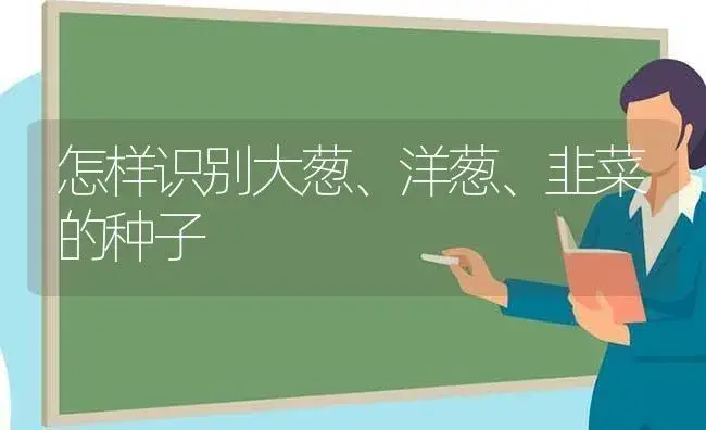 怎样识别大葱、洋葱、韭菜的种子 | 植物科普