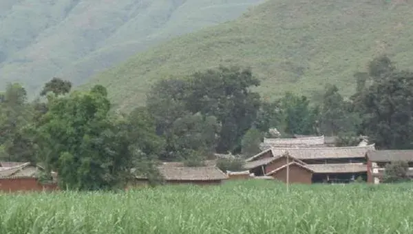 2018种玉米赚钱吗？玉米种植的利润与投资成本及前景预测