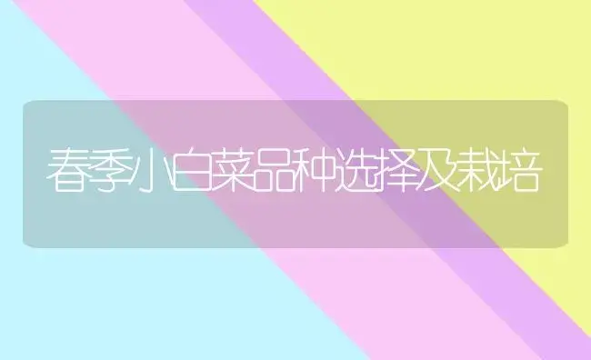 春季小白菜品种选择及栽培 | 植物百科