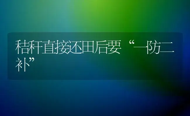 秸秆直接还田后要“一防二补” | 植物百科