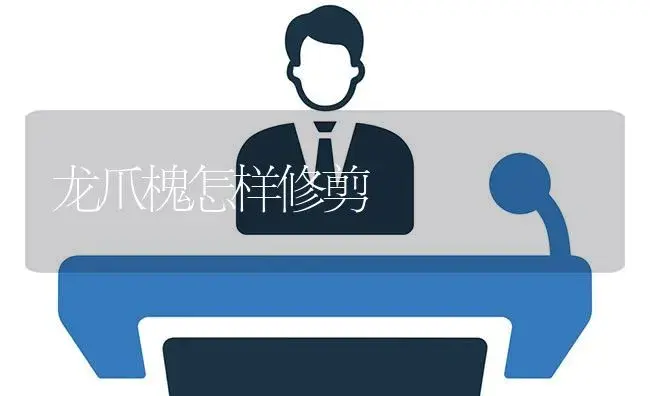 龙爪槐怎样修剪 | 植物知识