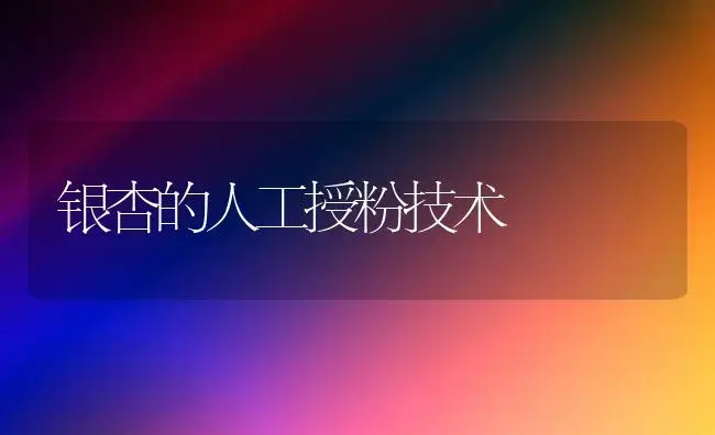 银杏的人工授粉技术 | 植物知识