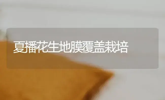 夏播花生地膜覆盖栽培 | 植物科普