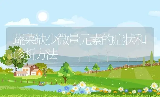 蔬菜缺少微量元素的症状和诊断方法 | 植物资料