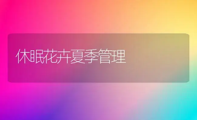 休眠花卉夏季管理 | 植物科普