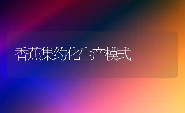 香蕉集约化生产模式 | 植物科普