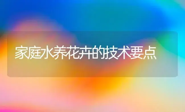 家庭水养花卉的技术要点 | 植物科普