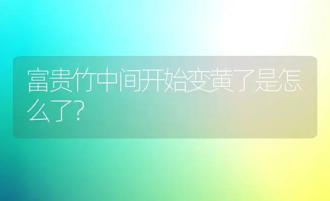 富贵竹中间开始变黄了是怎么了？ | 植物问答