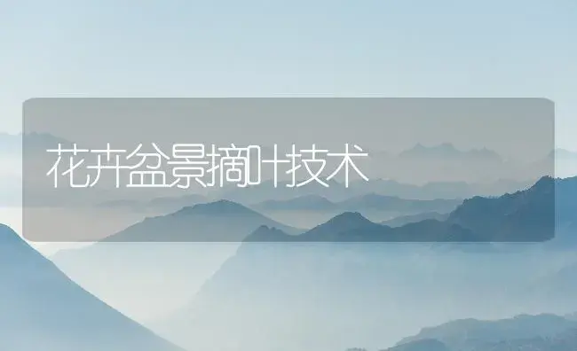 花卉盆景摘叶技术 | 植物知识