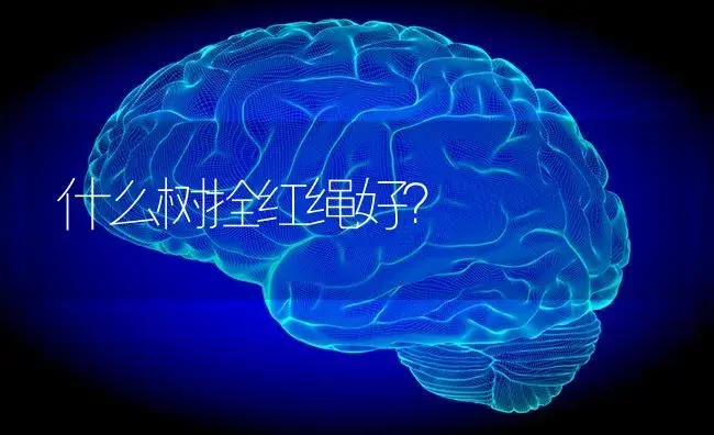 什么树拴红绳好？ | 植物问答