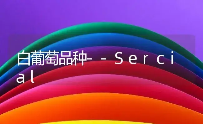 白葡萄品种--Sercial | 植物百科