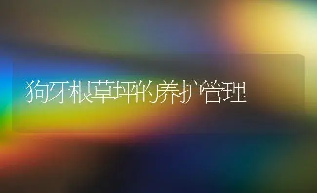 狗牙根草坪的养护管理 | 植物知识