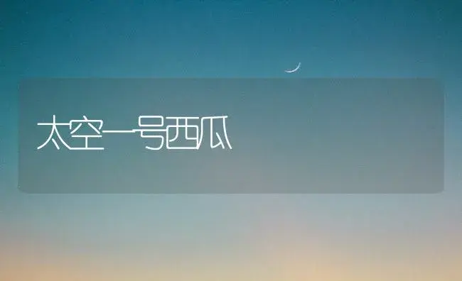太空一号西瓜 | 植物百科