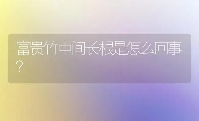 富贵竹中间长根是怎么回事？ | 植物问答