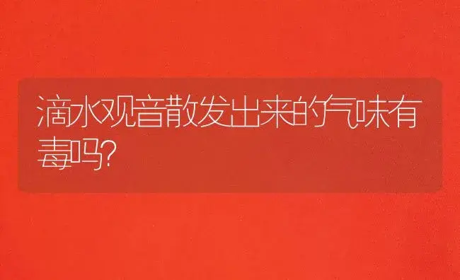 滴水观音散发出来的气味有毒吗？ | 植物问答