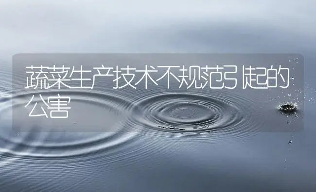 蔬菜生产技术不规范引起的公害 | 植物百科