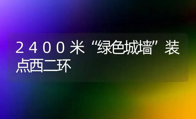 2400米“绿色城墙”装点西二环 | 植物科普