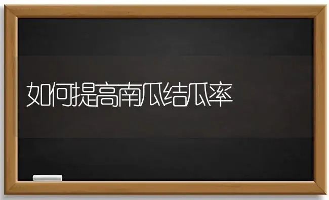 青花菜多部位采收栽培技术 | 植物科普