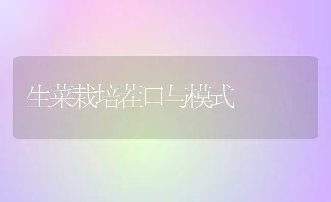 生菜栽培茬口与模式 | 植物百科