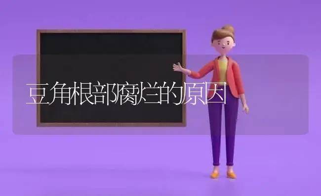 豆角根部腐烂的原因 | 植物科普