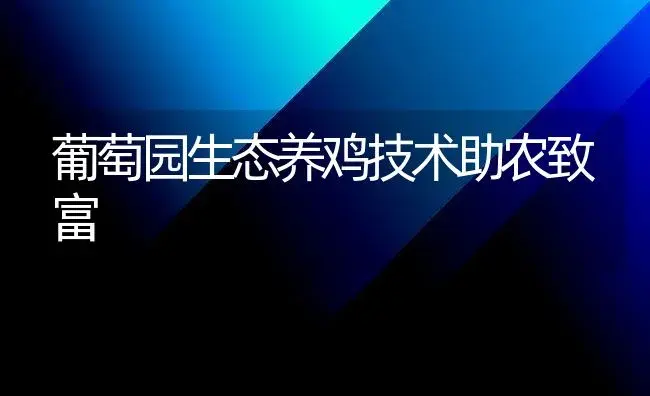 葡萄园生态养鸡技术助农致富 | 植物科普