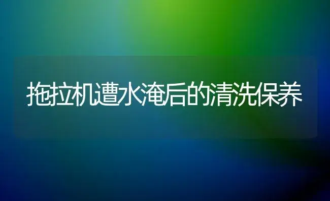 拖拉机遭水淹后的清洗保养 | 植物科普