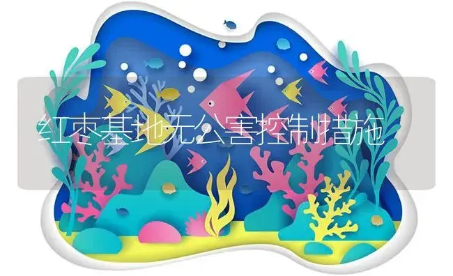 海南培育出椰子新品种 | 植物资料