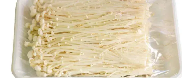 家里怎么种金针菇