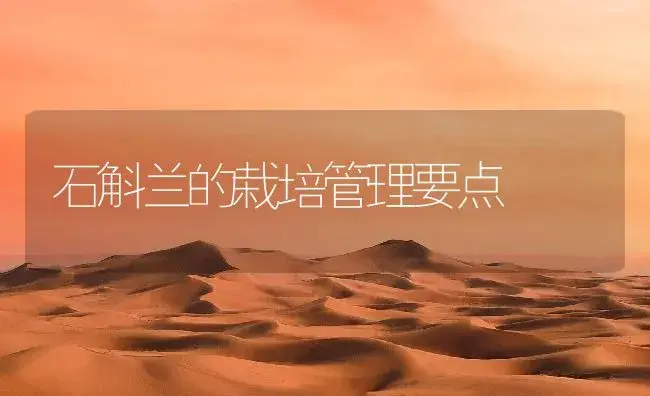 石斛兰的栽培管理要点 | 植物知识