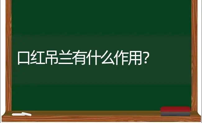 口红吊兰有什么作用？ | 植物问答