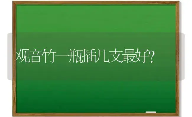 观音竹一瓶插几支最好？ | 植物问答