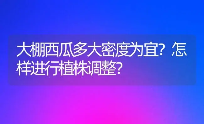 大棚西瓜多大密度为宜？怎样进行植株调整？ | 植物科普