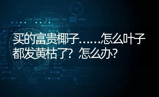 买的富贵椰子……怎么叶子都发黄枯了?怎么办？ | 植物问答