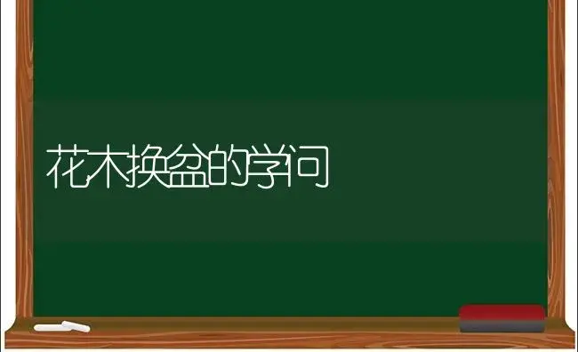 花木换盆的学问 | 植物科普