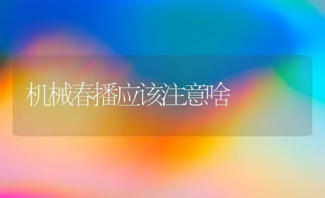 机械春播应该注意啥 | 植物科普