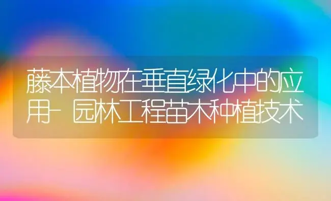 藤本植物在垂直绿化中的应用-园林工程苗木种植技术 | 植物知识